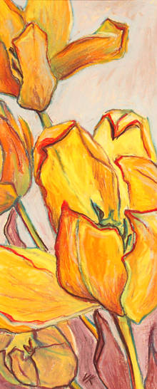 „Tulpen gelb lila (2)"